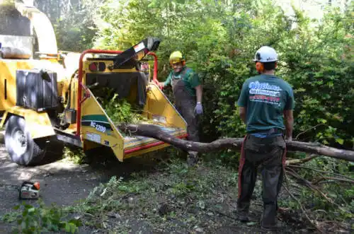 tree services Hull